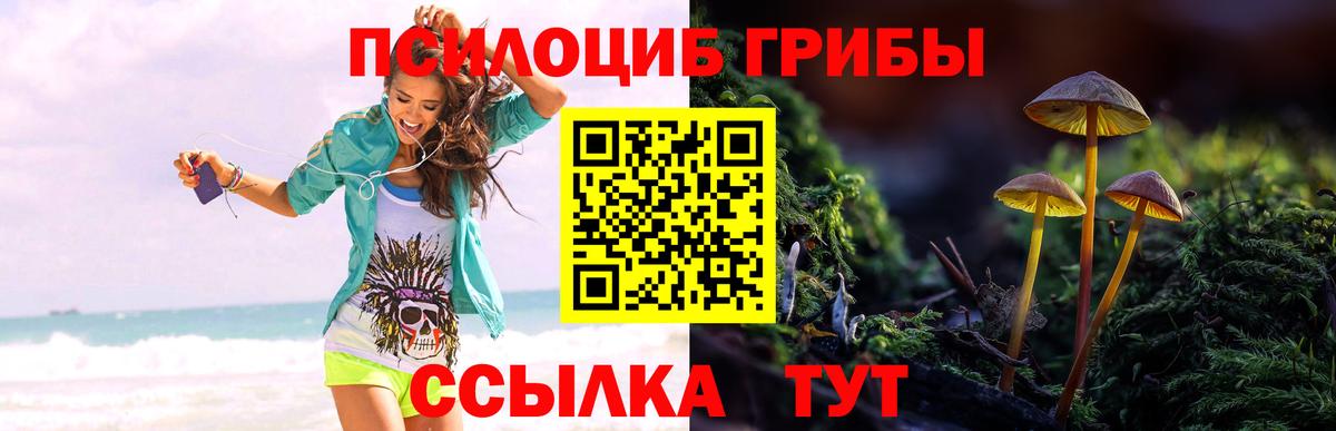 Галлюциногенные грибы Psilocybine cubensis  Вход с VPN  наркошоп  Люберцы  Псилоцибиновые грибы мицелий 